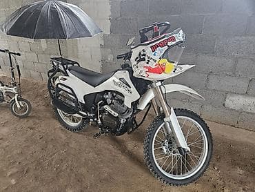 акрапович цена: Эндуро-мотоцикл Зошенг(белый) - Двигатель: одноцилиндровый 4‑тактный — 1