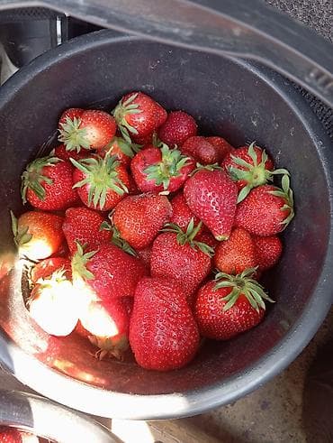 козий сыр: Клубника — 1