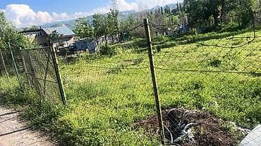 5 соток, Курулуш, Кызыл китеп — 8