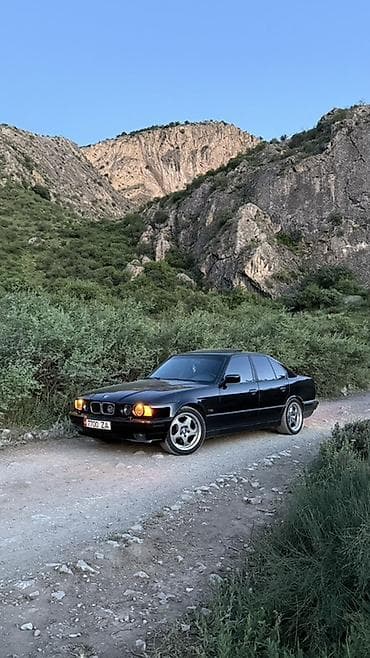voyah dream: BMW 5 series: 1995 г., 2.5 л, Автомат, Бензин, Седан — 5