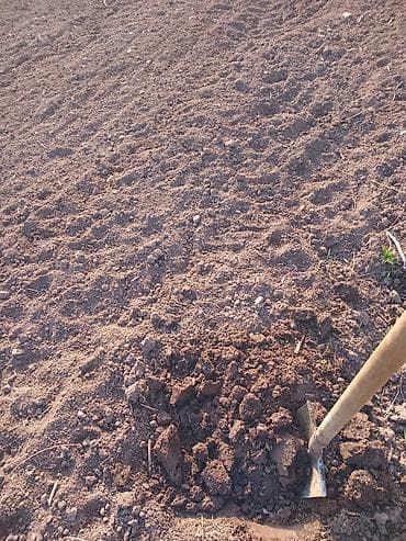 беде поля: Продаю перегной хорошего качества многолетний без мусора камней и — 2