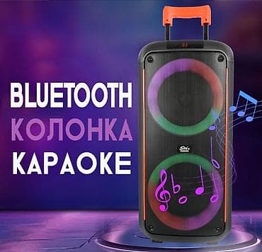 Портативная Bluetooth караоке колонка ZQS8263 с микрофоном и пультом