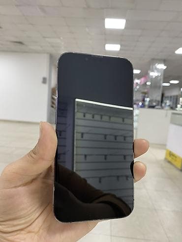 12pro max: IPhone 13 Pro, 256 ГБ, Графит, 100 % — 2