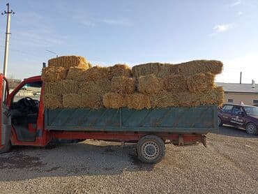 1укос аралаш доставка есть 70шт