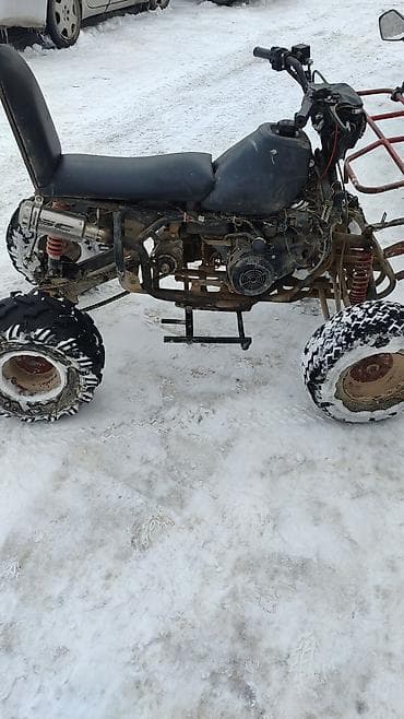 Квадроцикл Бензин, 250 куб. см, Взрослый