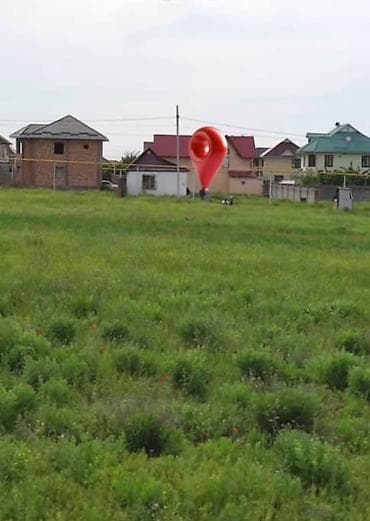 red centr: 5 соток, Красная книга — 2