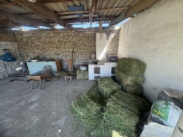 продаю дом учхоз: Дом, 1 м², 8 комнат, Собственник — 8