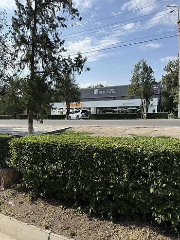 сдаю 1ком квартиру: 1 комната, 31 м², 104 серия, 1 этаж, Косметический ремонт — 2