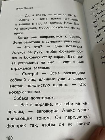 inside out elementary: Крупный шрифт. Книга «Снежинка, исполняющая желания» — сборник — 6