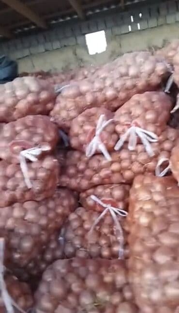 оптом эт: Лук Оптом — 7