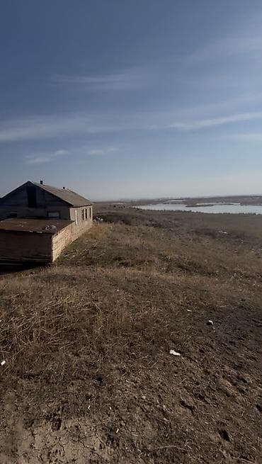 участок ново пакровка: 5 соток, Для сельского хозяйства, Красная книга, Тех паспорт, Договор купли-продажи — 3