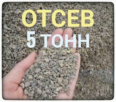 чехол для xs: Отсев — 1