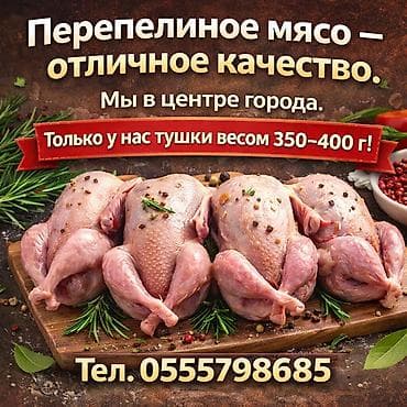 кыргыз жылкы: Перепёлки ( мясо ) Мы в центре города! Только у нас крупные — 1