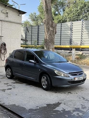 авто вит: Peugeot 307: 2004 г., 1.5 л, Автомат, Бензин, Хэтчбэк — 4