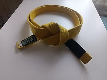 черный пояс: Пояс для единоборств Venum (желтый) - Цвет: жёлтый с чёрной панелью — 1