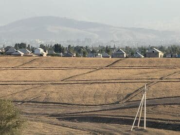 контейнер нарын: 130 соток, Айыл чарба үчүн, Сатып алуу-сатуу келишими — 5