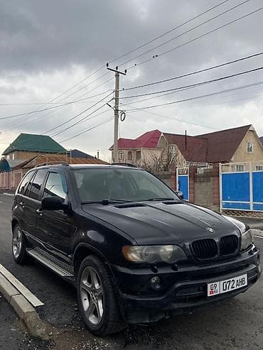 bmw e39: BMW X5: 2003 г., Кроссовер — 4