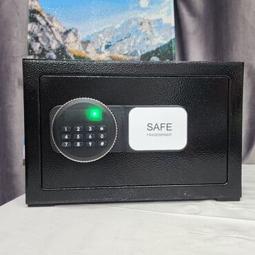 шкаф для документов: Взломостойкий сейф от safe.Bish для денег и драгоценных вещей размер — 10