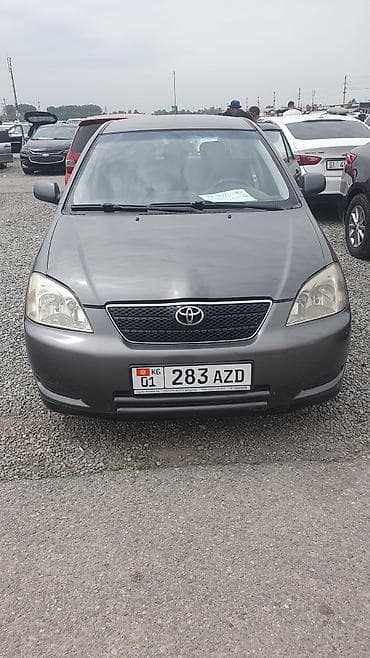 Toyota Corolla: 2003 г., 1.6 л, Автомат, Бензин, Хэтчбэк