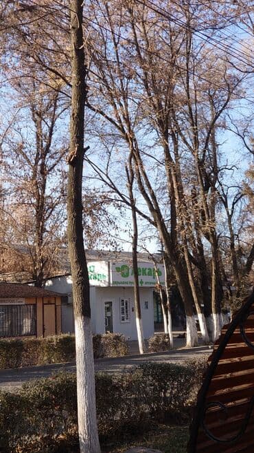 срочно срочно продаю дом город карабалта: 1 комната, 40 м², Сталинка, 1 этаж, Косметический ремонт — 9