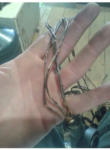 ремонт спидометра: Услуги автоэлектрика, без выезда — 3