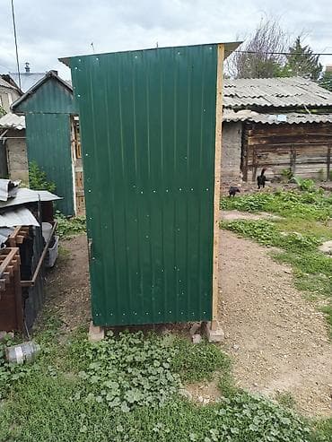 петуха: Продаю | Куры — 4