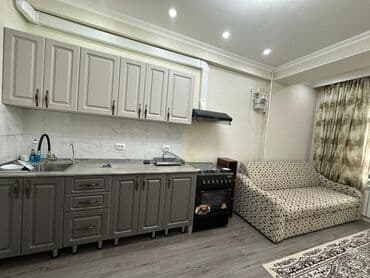 цены на однокомнатные квартиры в бишкеке: 1 комната, 47 м², Элитка, 13 этаж, Евроремонт — 11