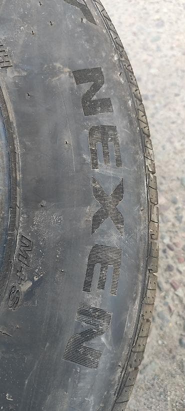 нарын шины: Шины 195 / 70 / R 14, Лето, Б/у, Пара, Легковые, Корея, Nexen — 4