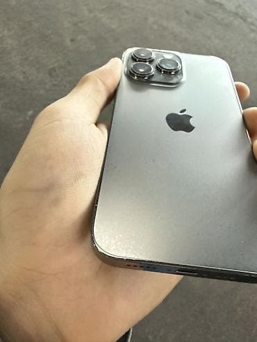 IPhone 13 Pro, Колдонулган, 256 ГБ, Графит, Коргоочу айнек, Каптама, 84 % — 10