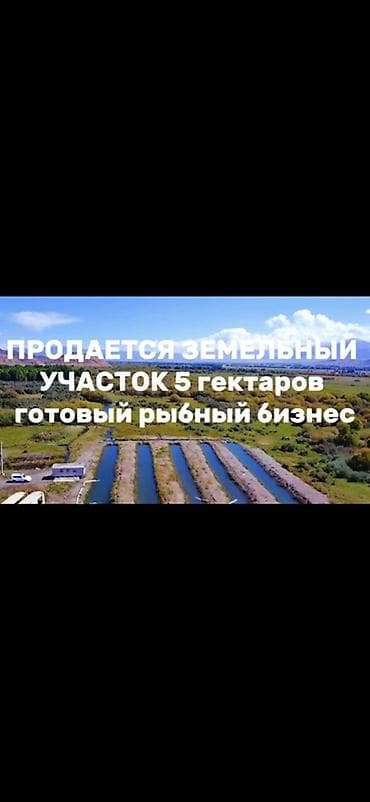 маловодное кыргызстан: Рыбное хозяйство, 500 соток, Действующий — 1