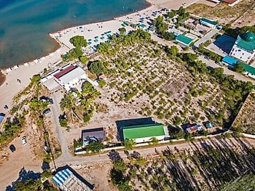 ысык куле: 85 соток, Бизнес үчүн, Сатып алуу-сатуу келишими — 2