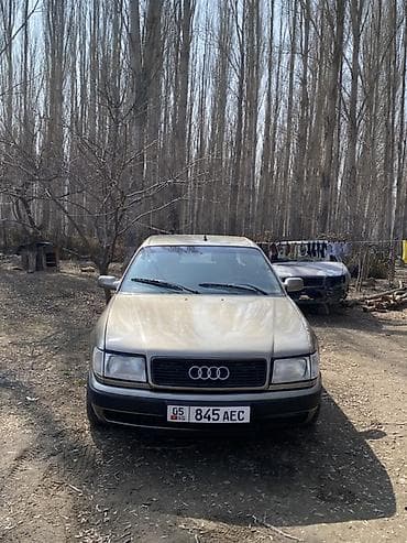 Audi 100: 1991 г., 2.8 л, Бензин, Седан