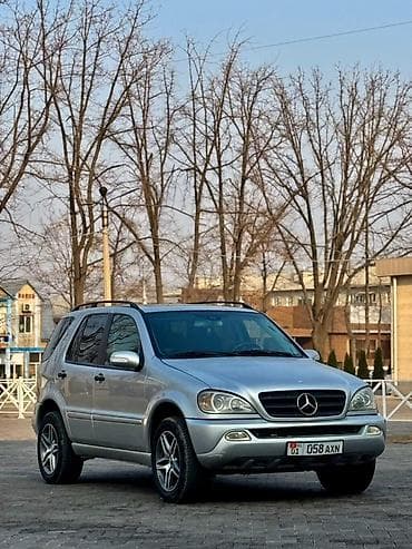 молдинг на мерседес: Mercedes-Benz M-Class: 2002 г., 3.2 л, Автомат, Кроссовер — 9