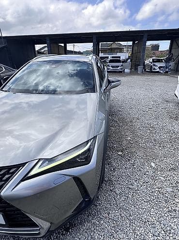 tesla 3: Lexus UX: 2019 г., 2 л, Автомат, Гибрид, Кроссовер — 10