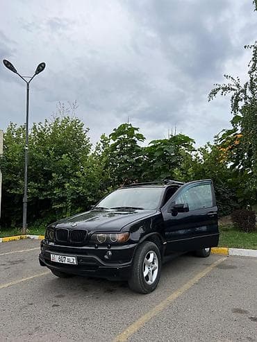 купить bmw x5: BMW X5: 2003 г., 3 л, Автомат, Бензин, Кроссовер — 3