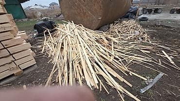 двери даром: Дрова мелкие — 2