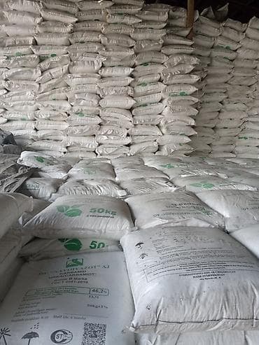 зелёные помидоры: Удобрение Карбамид — 1