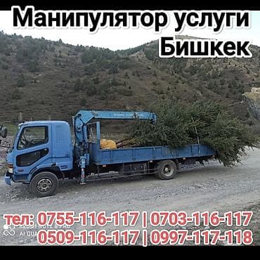 Манипулятор, Hitachi