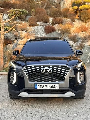 Hyundai Palisade: 2019 г., 2.2 л, Автомат, Дизель, Кроссовер