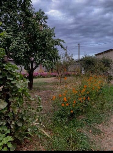 участки дома бишкек новопокровка: 10 соток, Для строительства, Договор купли-продажи, Красная книга, Тех паспорт — 2