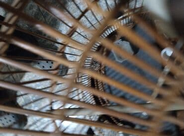 корм для птенцов волнистых попугаев: Клетка для птиц из бамбука, выполненная в традиционном стиле. Имеет — 8