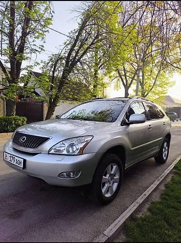 lexus e: Lexus RX: 2004 г., 3.3 л, Автомат, Бензин, Внедорожник — 2