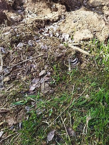 удобрения для сада: В тоннах, Самовывоз, Портер, Зил, Камаз — 2