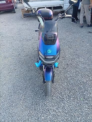 Электроскутер Demanish DMS (city bike) - Тип: электрический