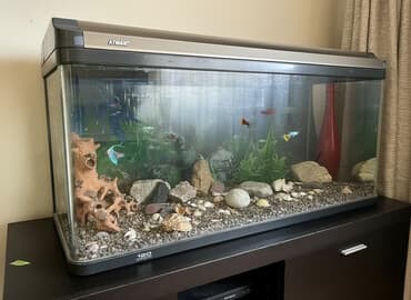 рыбки для аквариум: Продаётся аквариум Atman 120х40х50 (240 л) — комплект “всё включено” 🐠 — 2