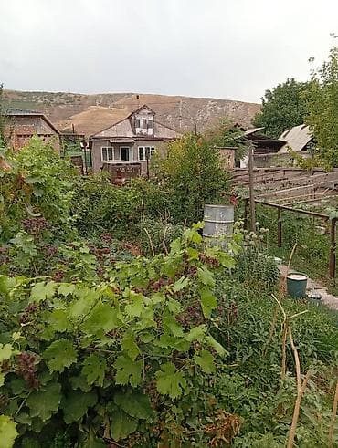 Күнөсканалар: Продаётся Дом участок 9. Соток . на территории участка имеется — 1