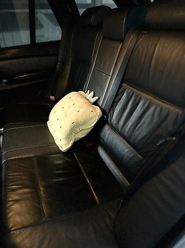 BMW: BMW X5: 2002 г., 4.4 л, Автомат, Бензин — 10