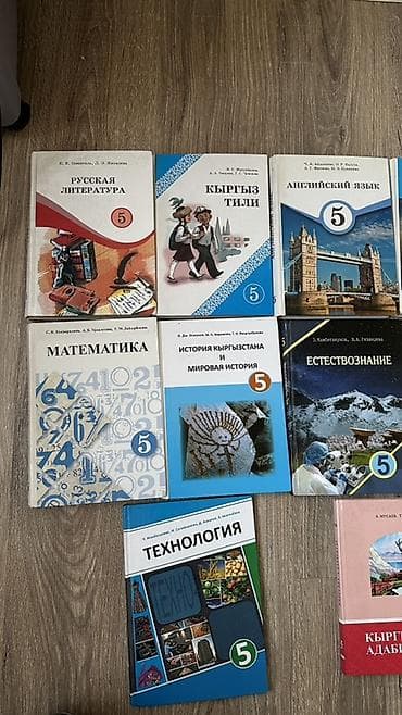 китайские книжки: Комплект учебников для 5 класса (Кыргызстан) Состав: - Русская — 1
