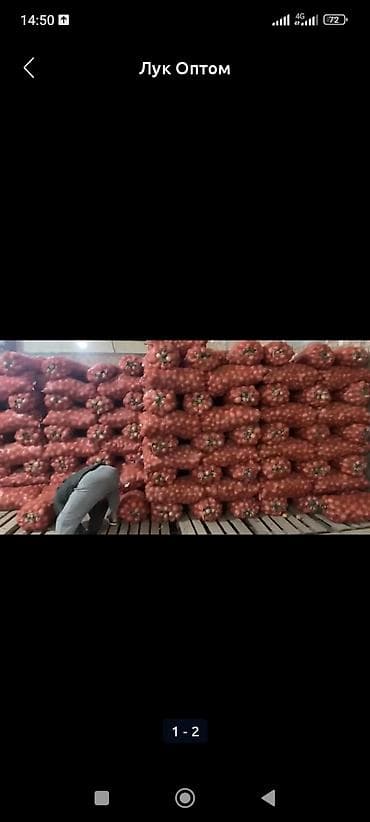 пакет упаковочный: Лук Оптом — 3