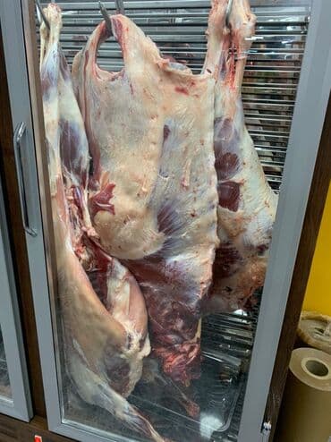 холодильники для мяса: Для мяса, мясных изделий, Кыргызстан, Новый — 3